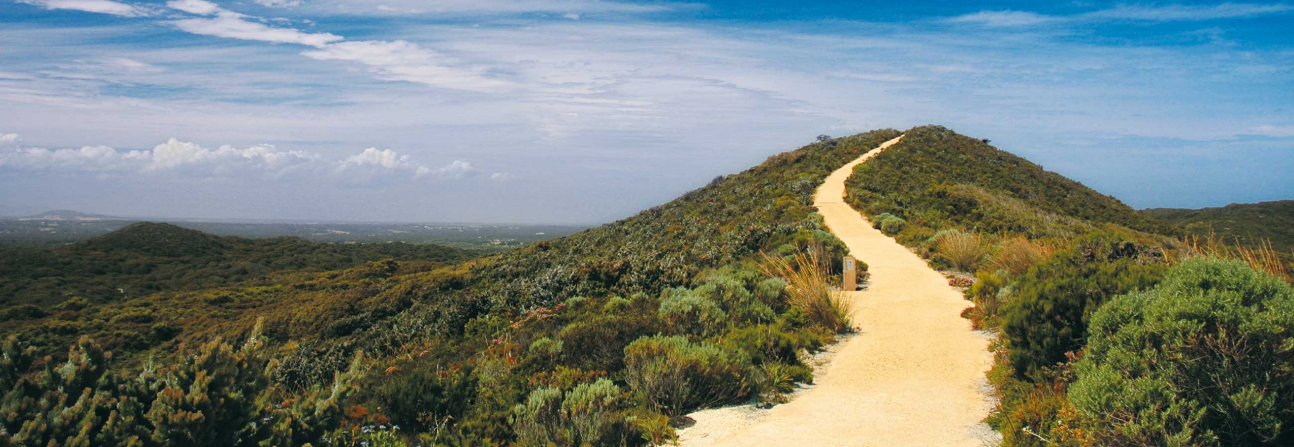 KNÜFER - Wirksame Führung